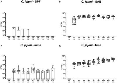 Metabolomic signatures of intestinal colonization resistance against Campylobacter jejuni in mice